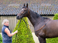 WG031025-62 - Jaramillo